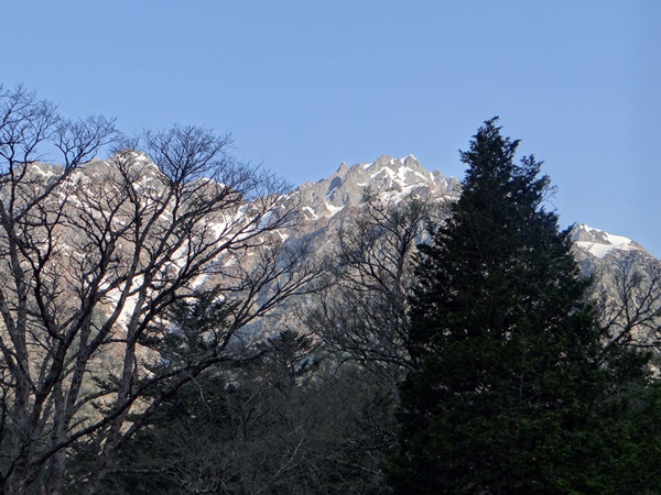 d0037233_10491481.jpg