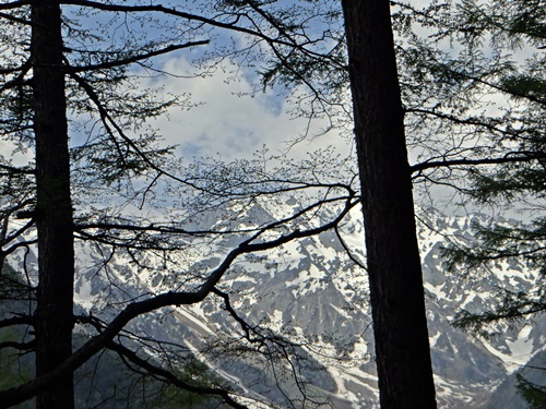 d0037233_1063949.jpg