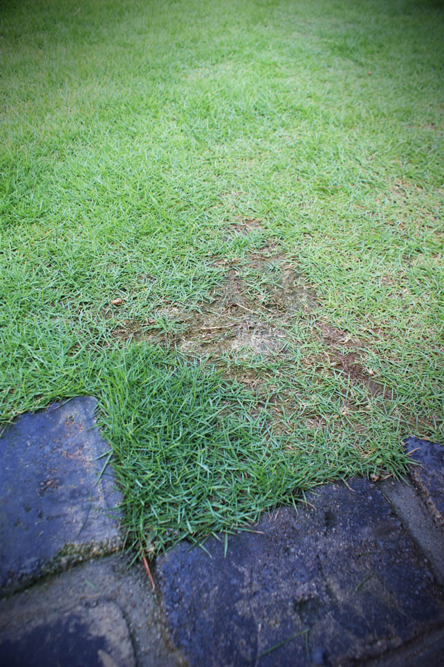 d0269133_15342124.jpg