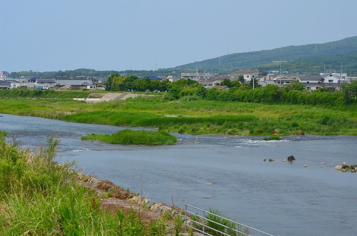 a0146442_844221.jpg
