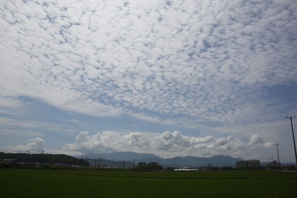 c0326245_10495444.jpg