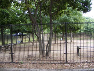 e0048447_00473830.jpg