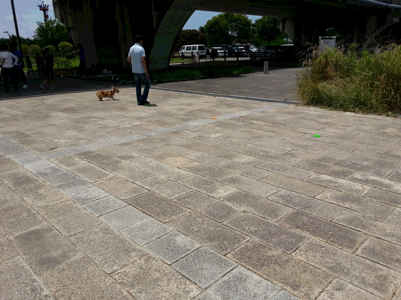 e0048447_01090879.jpg