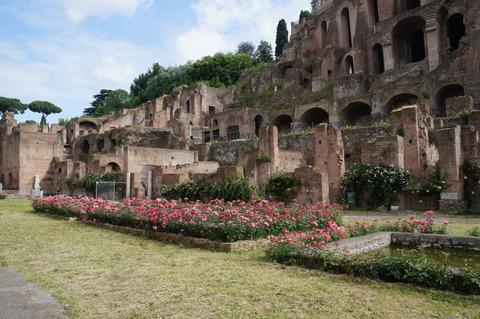 c0206352_030491.jpg