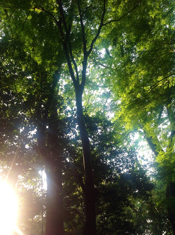 c0217364_20551257.jpg