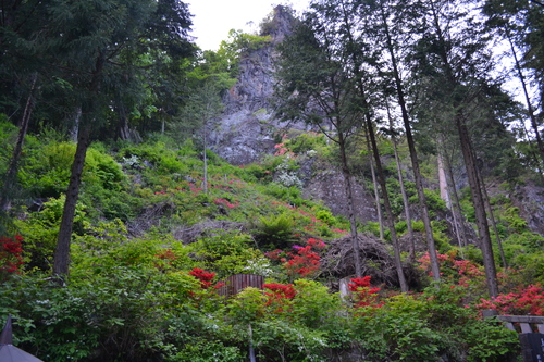 f0342371_20115735.jpg