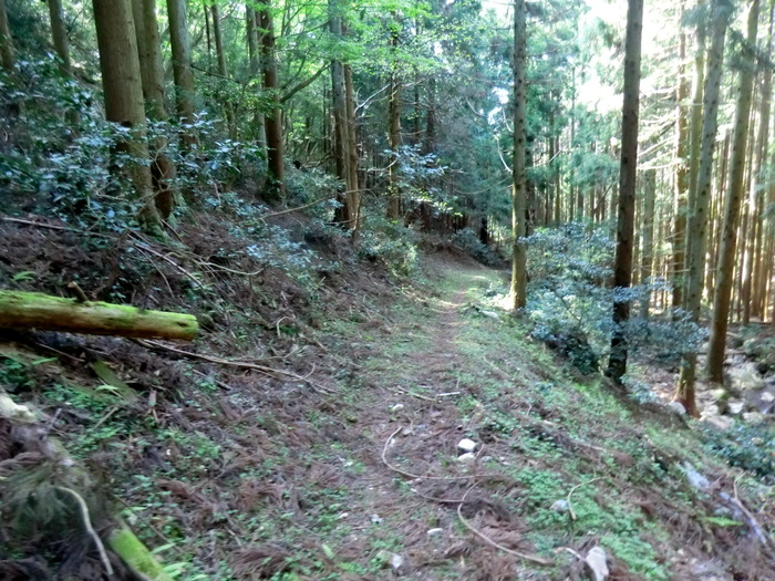 b0185573_94462.jpg