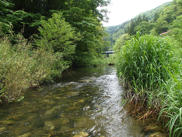 a0093677_20435846.jpg
