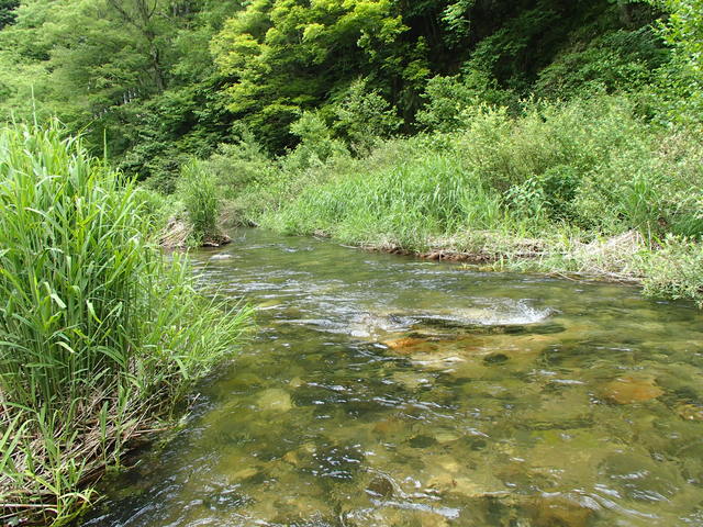 a0093677_2044929.jpg