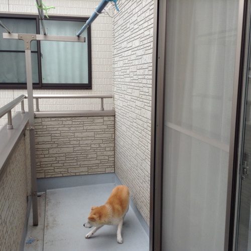 c0123890_0194825.jpg