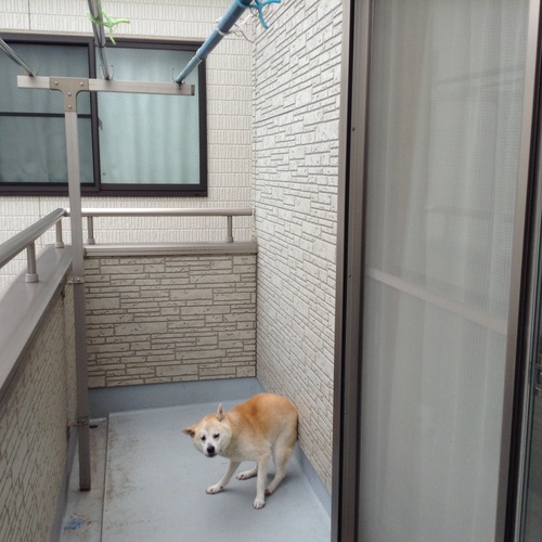 c0123890_020789.jpg