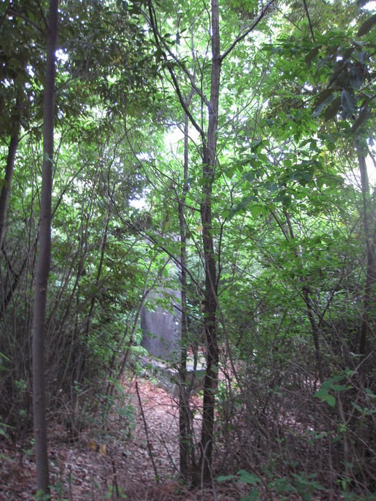 f0010195_140348.jpg