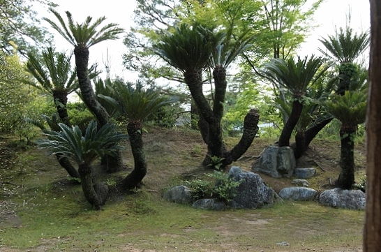 e0209997_21182988.jpg