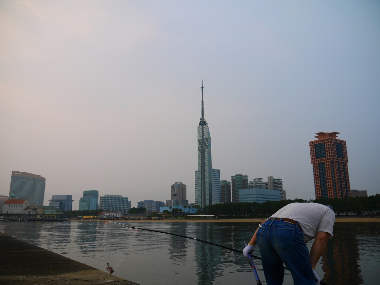 b0288301_20573672.jpg