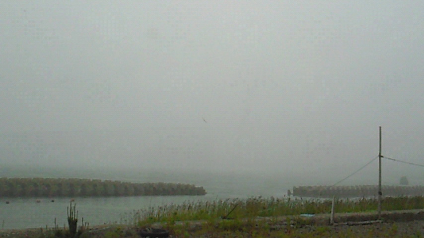 d0149105_19101740.jpg
