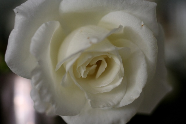 b0064411_05542775.jpg
