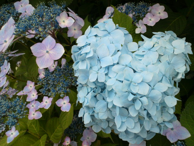 e0099212_18282589.jpg