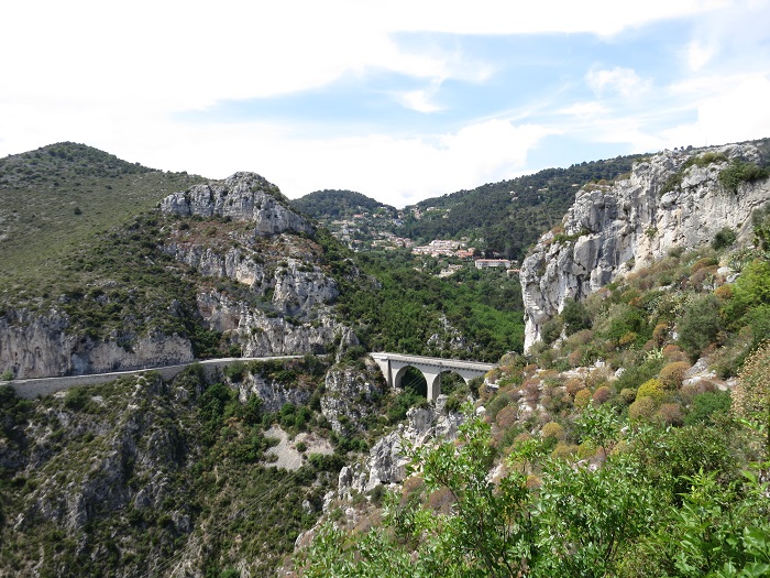 d0154118_747292.jpg