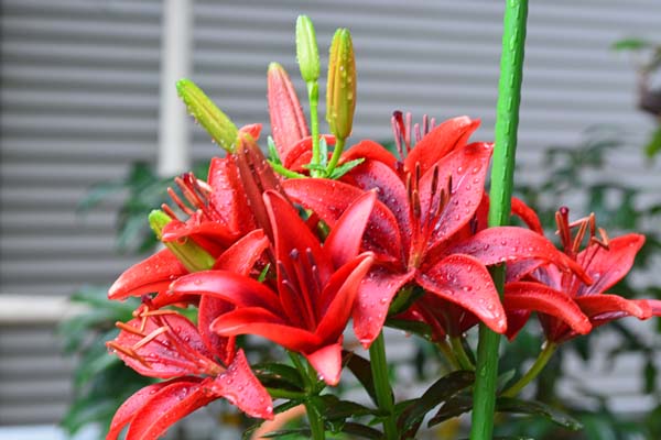 f0147025_1446360.jpg