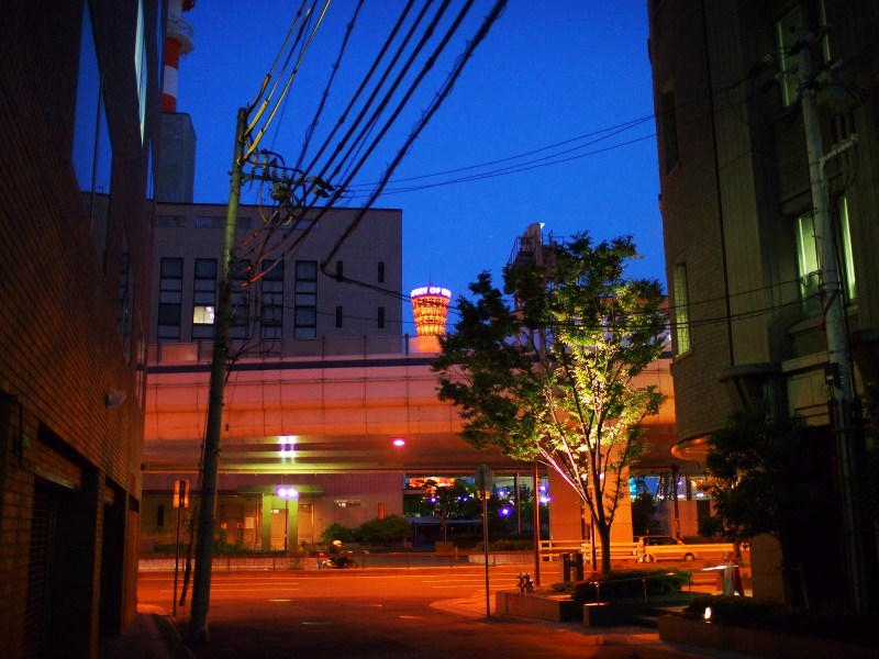 d0266327_11283330.jpg