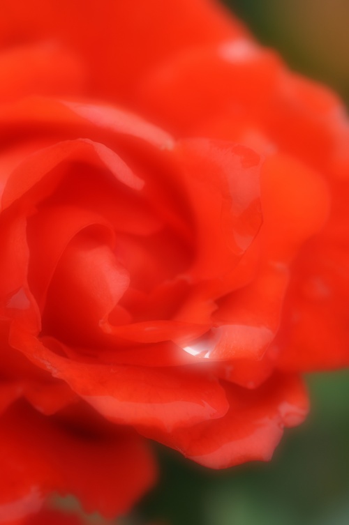 a0248728_20502041.jpg