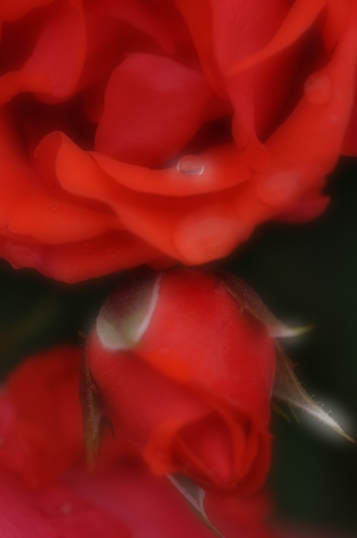 a0248728_21101138.jpg