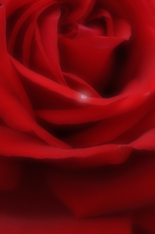 a0248728_21502650.jpg