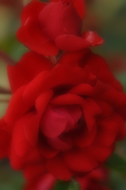 a0248728_222976.jpg