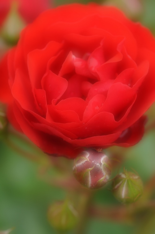 a0248728_2231081.jpg
