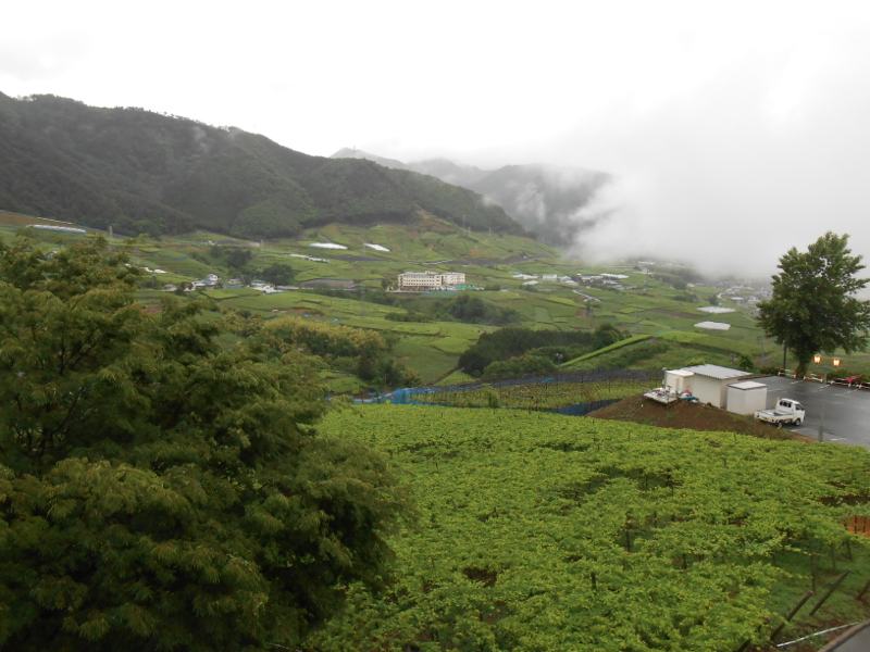 a0095931_21353391.jpg