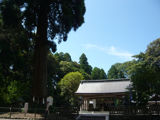 a0206332_8344858.jpg