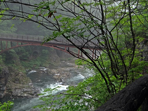 d0037233_15362395.jpg