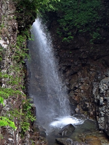 d0037233_1537118.jpg