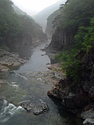 d0037233_15471045.jpg