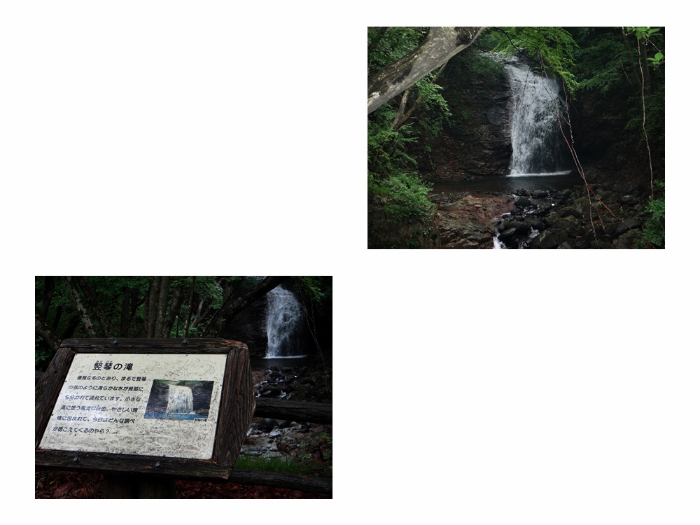 d0037233_1548590.jpg