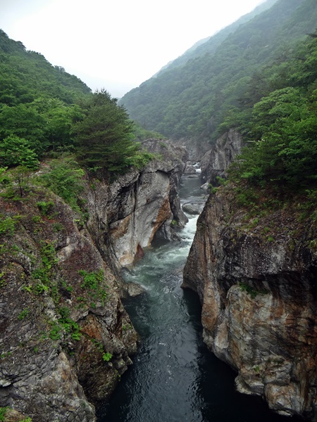 d0037233_15562717.jpg