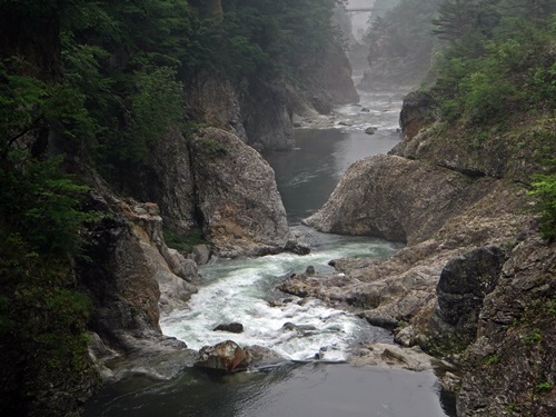 d0037233_15571838.jpg