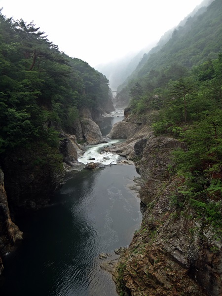 d0037233_1557958.jpg