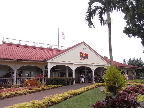 e0039033_21235435.jpg