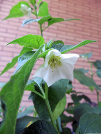f0234936_6245134.jpg