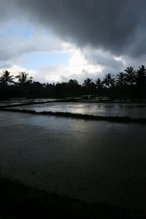 c0148238_16595145.jpg