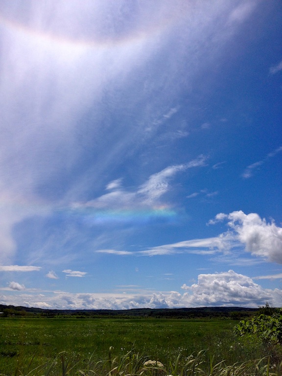 d0231339_20422958.jpg