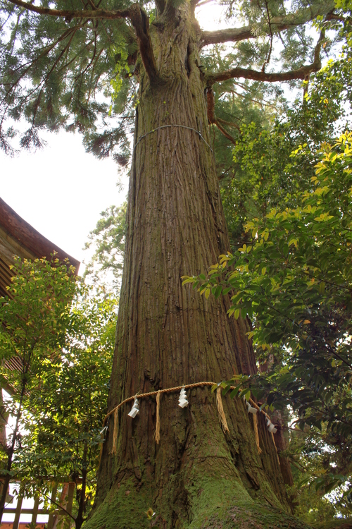 a0286340_16161956.jpg