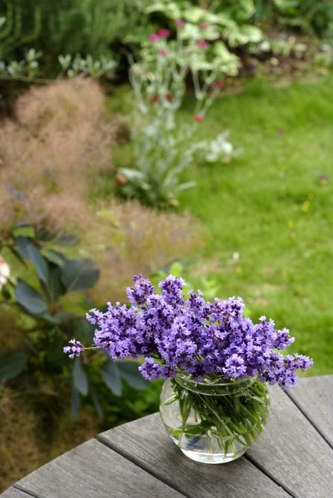 b0075541_13131176.jpg