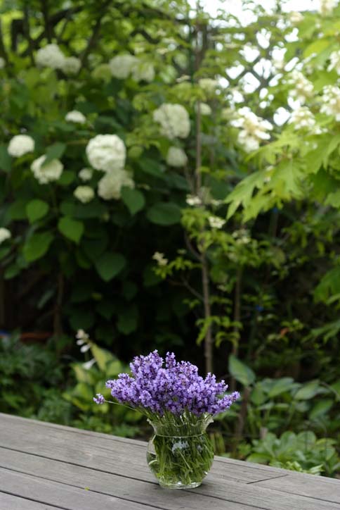 b0075541_1351120.jpg