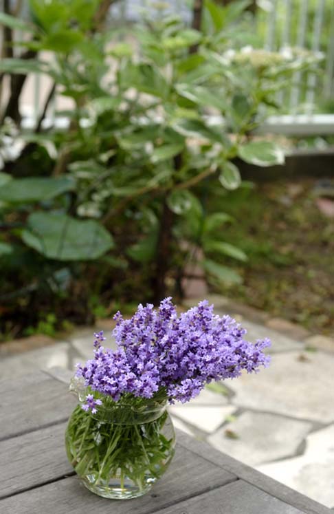 b0075541_139069.jpg
