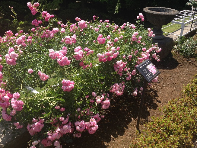 d0240442_112544100.jpg