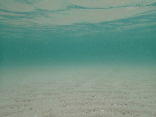 f0094843_17403564.jpg
