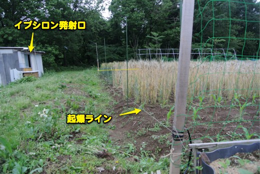 c0063348_985836.jpg