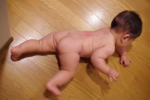 a0299749_215712.jpg